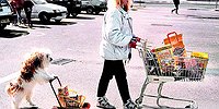Бывает ли у собак депрессия